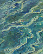 Load image into Gallery viewer, The Shallows