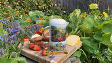 Load image into Gallery viewer, Adventure Seekers Tea Pot
